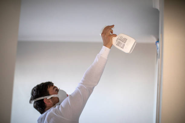 Best Mold Removal Near Me  in Tracyton, WA
