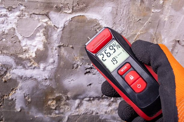 Best Water Damage Restoration  in Tracyton, WA