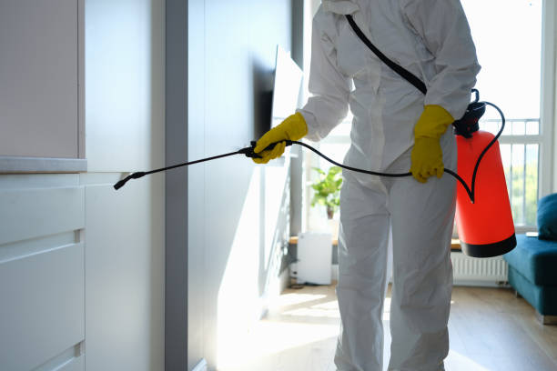 Best Toxic Mold Removal  in Tracyton, WA