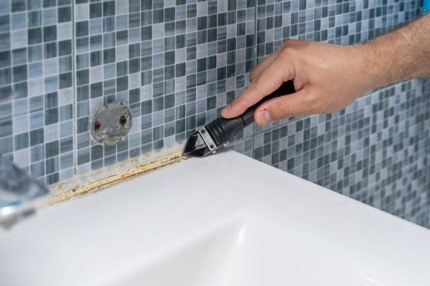 Best Fast Mold Removal  in Tracyton, WA