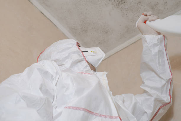 Best Emergency Mold Removal  in Tracyton, WA