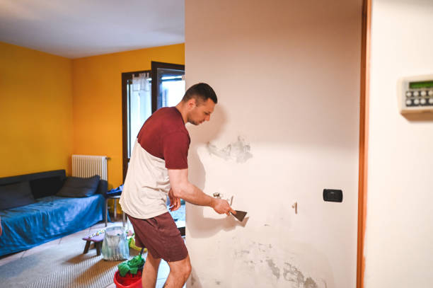 Best Home Mold Removal  in Tracyton, WA